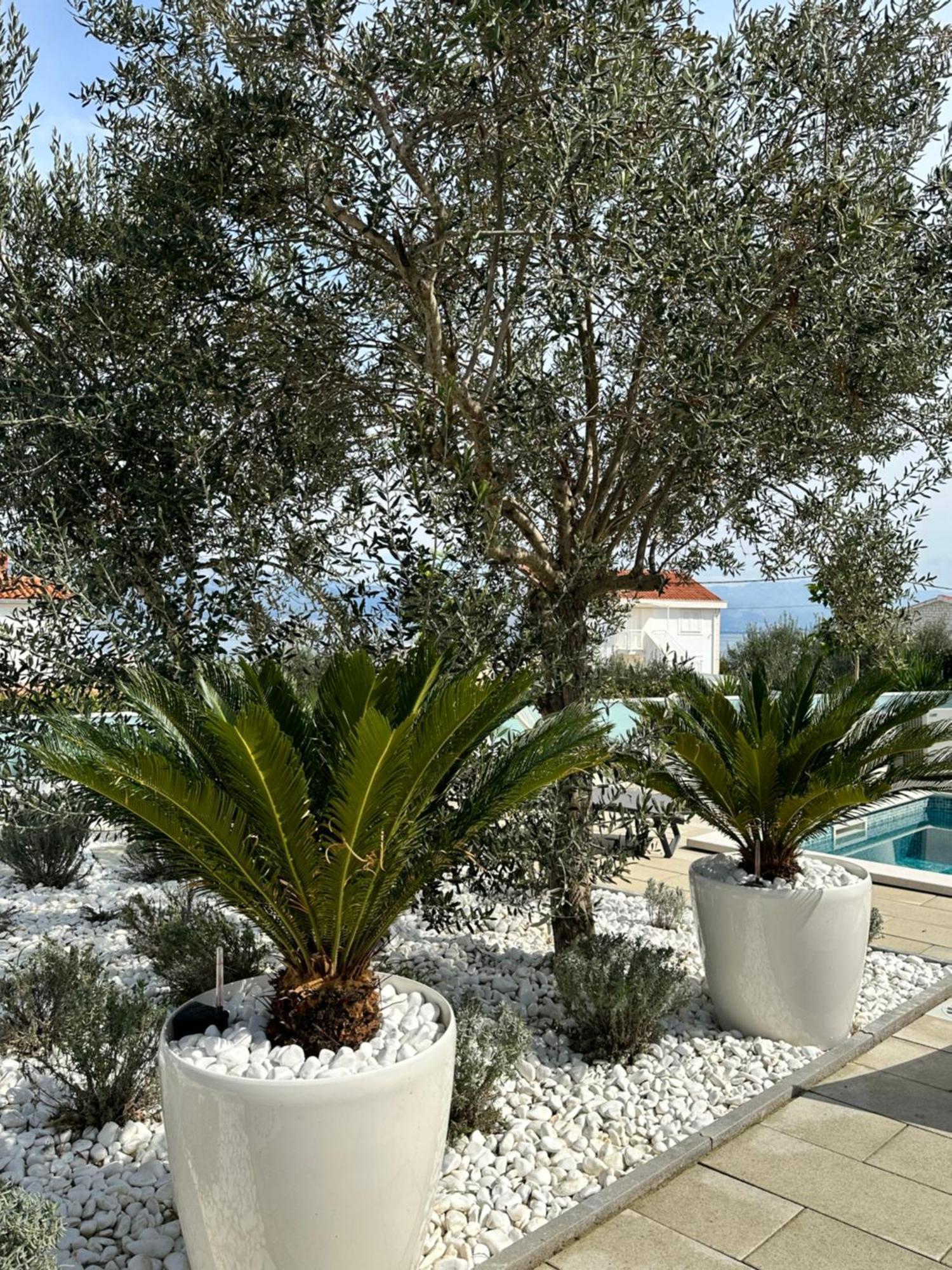 Apartments Marina Trogir Eksteriør bilde